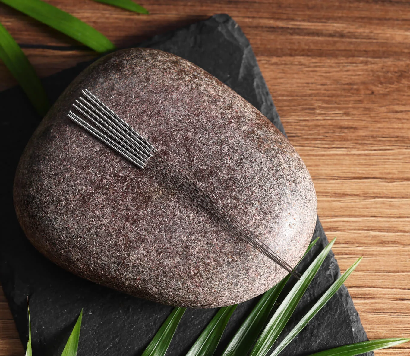 Acupuncture needles resting on a smooth stone with green leaves